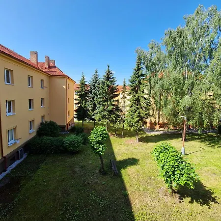 Center - Self Check-in